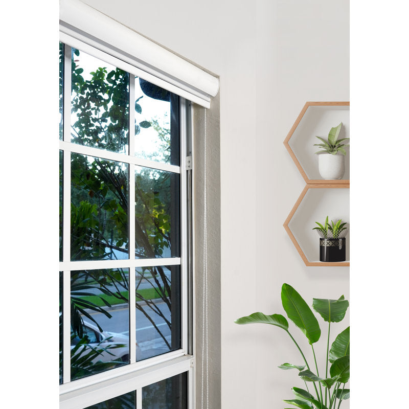 Zebra Roller Blinds - Dual Layer Light Filtering Window Shades